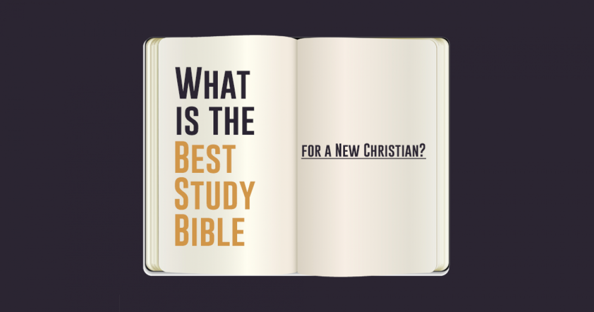 2019 best bible study books